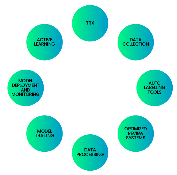 Machine Learning Lifecycle